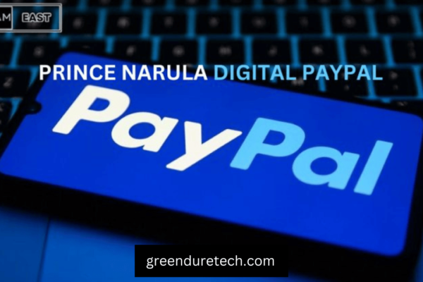 Prince Narula and His Digital PayPal Journey