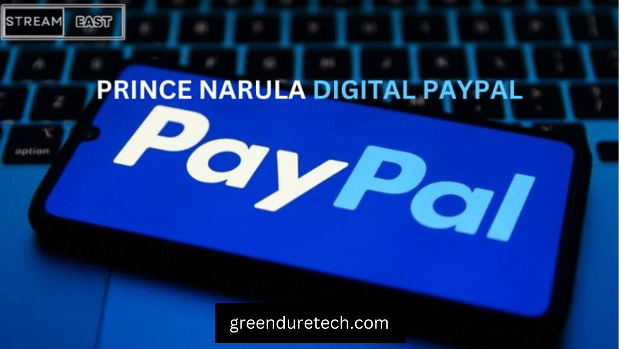 Prince Narula and His Digital PayPal Journey