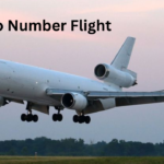 Zopalno Number Flight A Comprehensive Guide