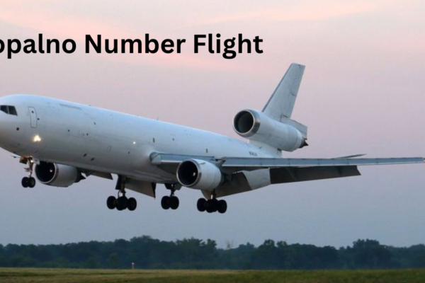 Zopalno Number Flight A Comprehensive Guide