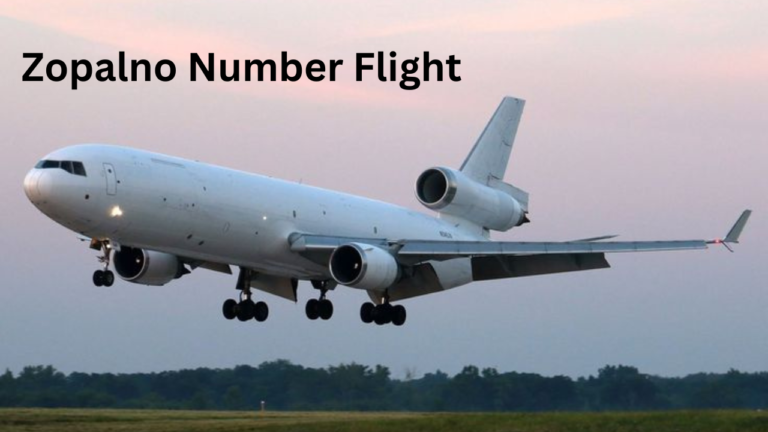 Zopalno Number Flight: A Comprehensive Guide