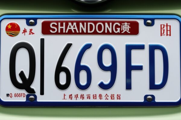 鲁Q 669FD Shandong’s Unique License Plate